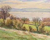 BELFAST LOUGH, c.1940s, Whyte's 2013