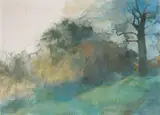 Tom Carr, BARNETT'S PARK, BELFAST