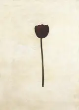 Michael Canning, CULTIVAR (DARK) II
