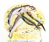 Elizabeth Cope, THE FISHES