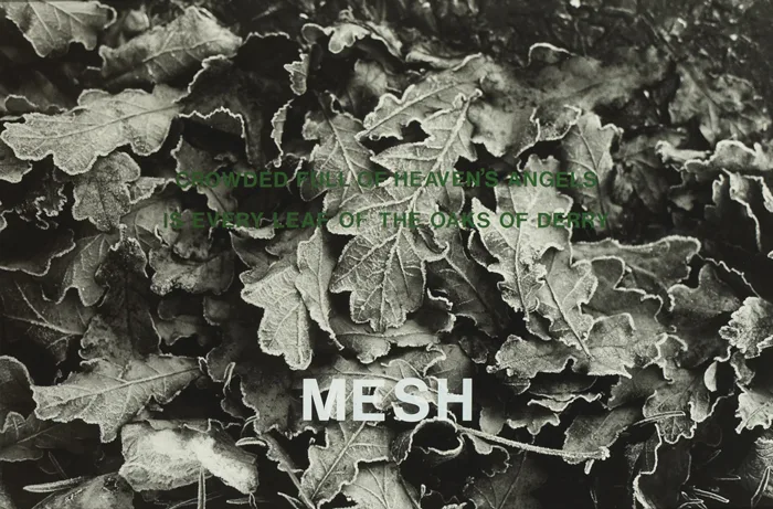Willie Doherty, MESH, CROWDED FULL OF HEAVEN'S ANGELS, 1986, black and white photograph