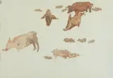 Maurice MacGonigal, PIGS ON ARAN