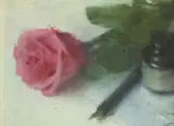 Thomas Ryan, WRITER'S ROSE