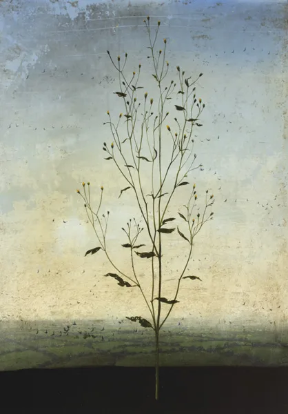 OVID by Michael Canning, 2007, oil and wax on canvas laid on board, offered Mar 2013