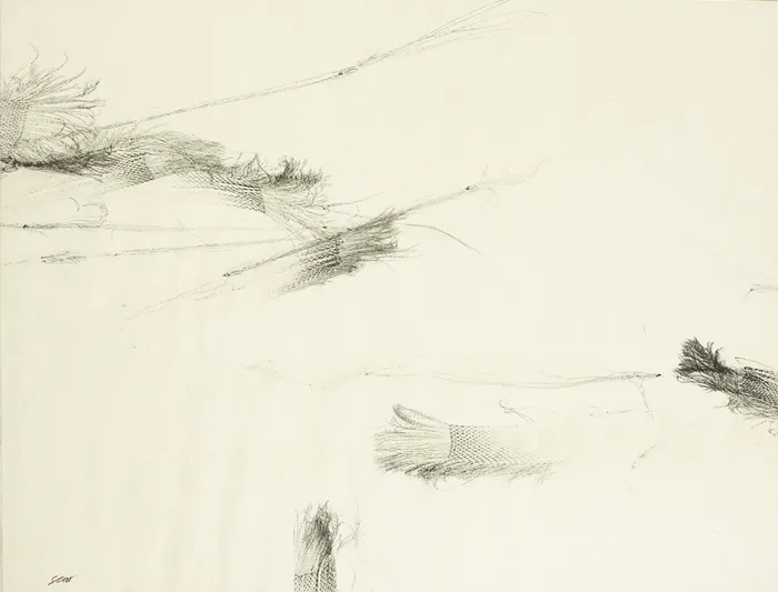 Patrick Scott, GESTURAL DRAWING, pencil and charcoal