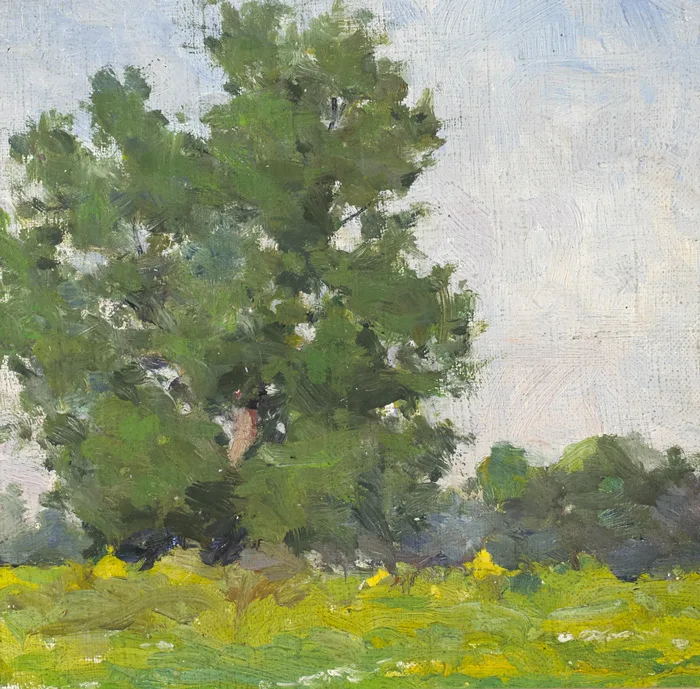 TREES STUDY, SUMMERTIME by Michael Healy, oil on board, sold Mar 2013