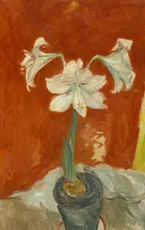 Stella Steyn, AMARYLLIS IN A POT