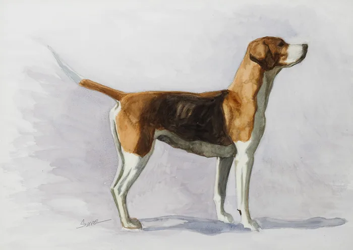 Desmond Snee, HOUND, watercolour