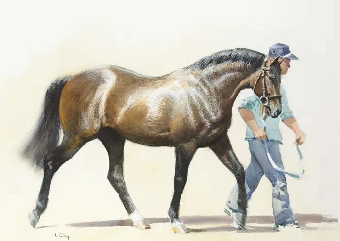 STALLION PARADE by Peter Curling, watercolour over pencil, sold Dec 2012
