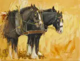 Henry McGrane, MOYNALTY