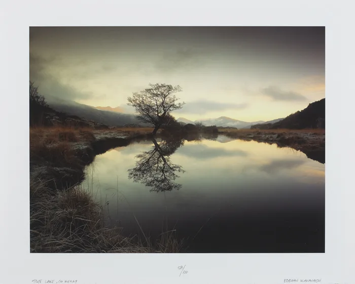 Eoghan Kavanagh, TREE LAKE, COUNTY KERRY, digital print on archival paper; (no. 58 from an edition of 100)