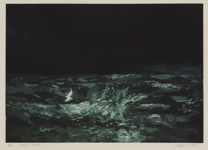 NOAH'S DOVE by James Allen, aquatint, sold Dec 2012
