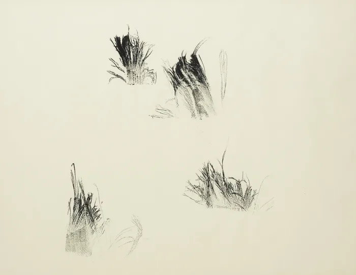 GESTURAL DRAWING by Patrick Scott, 1992, charcoal and Indian ink on Ingres paper indian ink on Ingres paper indian ink on Ingres paper indian ink on Ingres paper, offered Dec 2012