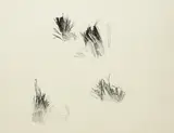 Patrick Scott, GESTURAL DRAWING
