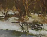 Liam Treacy, SNOW COVERED PLOUGH