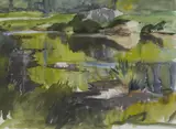 Tom Nisbet, ROCK POOL