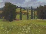 Brett McEntagart, WILD CARROTS, [TUSCANY]