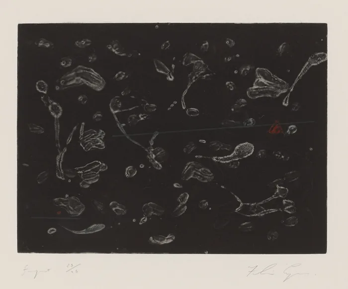 'FRAGMENT' by Felim Egan, monoprint; (no. 25 from an edition of 25), offered Dec 2012