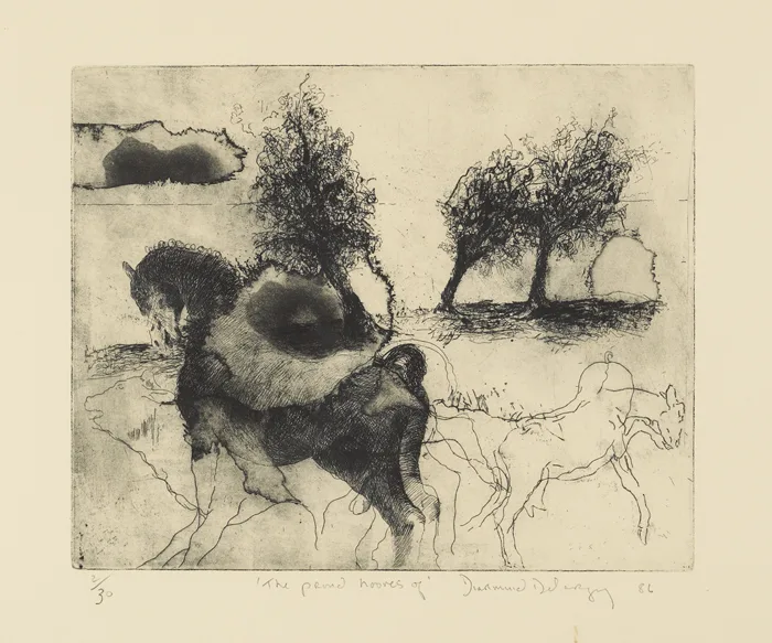 ETCHING by Diarmuid Delargy, 1986, etching; (no. 2 from an edition of 30), sold Dec 2012