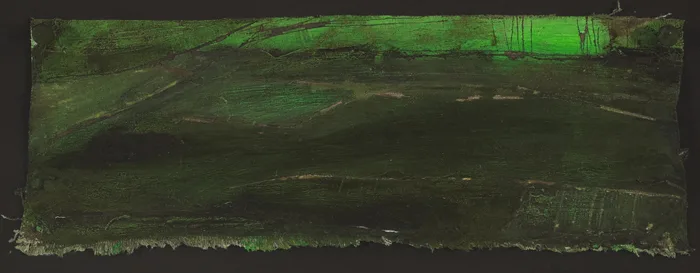 Mary Donnelly, SUMMER TURF, oil on unstretched canvas with collage element