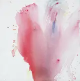 Robert Janz, TESSA TULIP 2