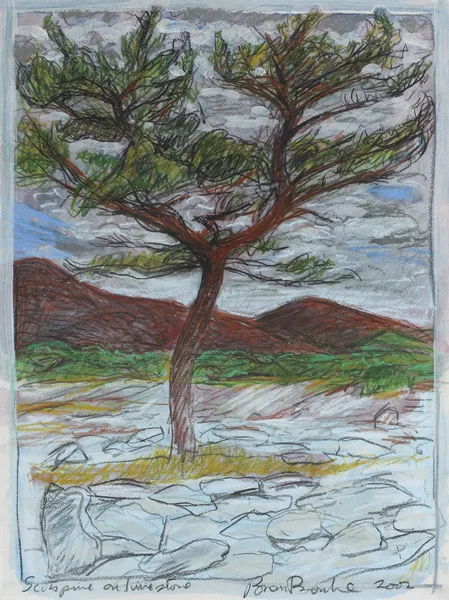 SCOTS PINE ON LIMESTONE by Brian Bourke, 2002, gouache with pastel and pencil on paper, sold Nov 2012