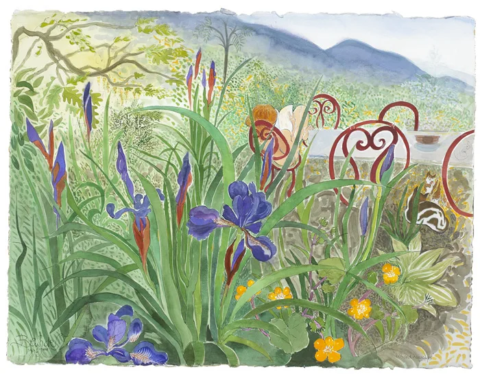 IRIS AND KINGCUPS by Pauline Bewick, 1996, watercolour over pen and ink on paper, sold Nov 2012