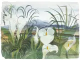 Pauline Bewick, LILIES AND REEKS