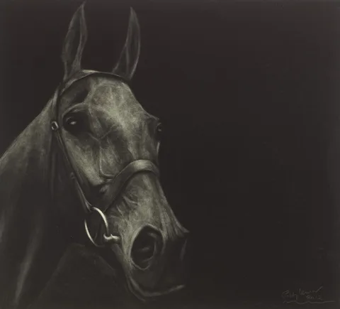 Paddy Lennon, ARKLE, 2012, charcoal on board
