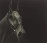 Paddy Lennon, ARKLE