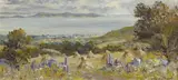 Fergus O'Ryan, DÚN LAOGHAIRE AND HOWTH FROM THE MOUNTAINS