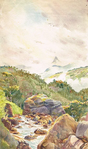 Henry George Gandy, ADAM'S PEAK CEYLON (SRI LANKA) FROM YARTMORE ESTATE, signed lower right; inscribed with title on reverse