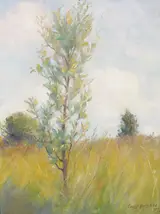 Ernest Columba Hayes, YOUNG TREE