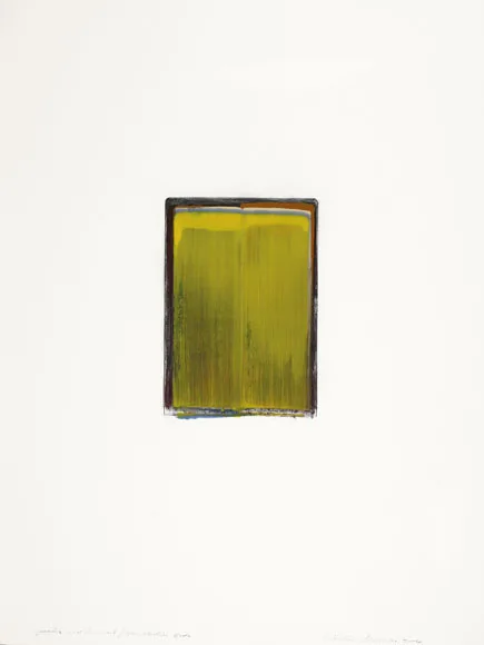 Ciarán Lennon, SINGLE COLOUR COLLECTION, 2004, gouache and charcoal on paper with mixed media element