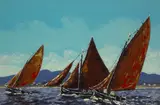 Ivan Sutton, GALWAY HOOKERS RACING IN ROUNDSTONE BAY, COUNTY GALWAY