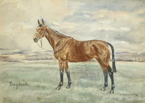 BAYBUSH by Rosemary O'Callaghan-Westropp, 1937, watercolour, offered Dec 2011