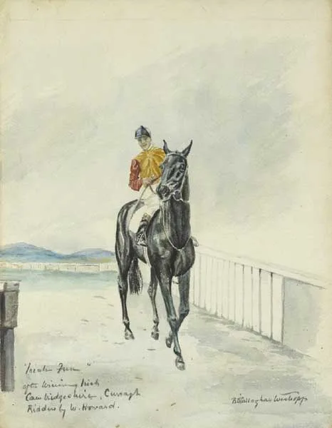 "INISH FREE" AFTER WINNING IRISH CAMBRIDGESHIRE, CURRAGH, RIDDEN BY W. HOWARD by Rosemary O'Callaghan-Westropp, watercolour, sold Dec 2011