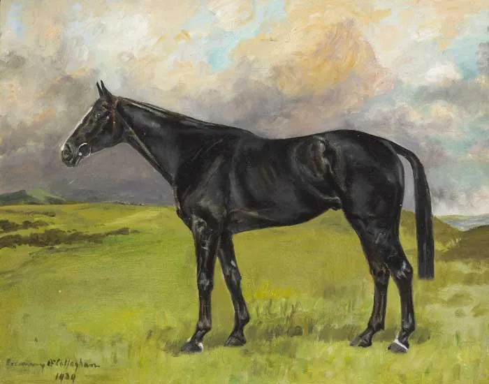 BLACK STALLION by Rosemary O'Callaghan-Westropp, 1939, oil on canvas, offered Dec 2011
