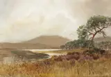 Joseph William Carey, MOUNTAIN RIVER WITH HEATHERS AND TREES