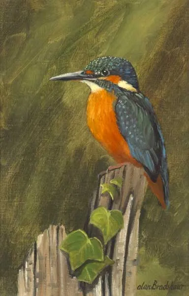Alan Bradshaw, KINGFISHER, oil on canvas laid on board