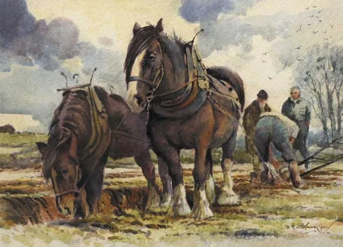 Bobby Anderson, SETTING THE HEAD, watercolour