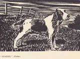 Harry Kernoff, THIRTY-SIX WOODCUTS