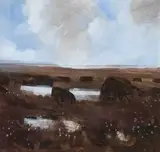 Terence P. Flanagan, COTTON BOG
