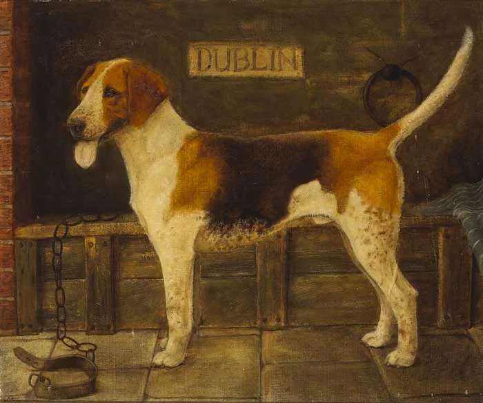 Desmond Snee, DUBLIN HOUND, oil on board