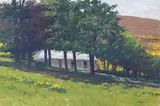 Brett McEntagart, COTTAGE IN THE TREES