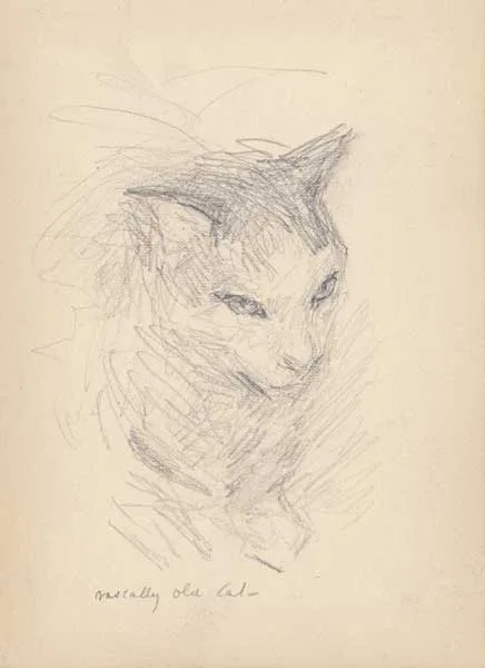 RASCALLY OLD CAT by John Butler Yeats, pencil, sold Oct 2011