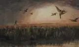Andrew Nicholl, DUCK SHOOTING
