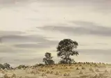 CORN STOOKS, Whyte's 2011