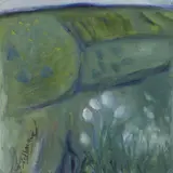 Anita Shelbourne, WILD FLOWERS