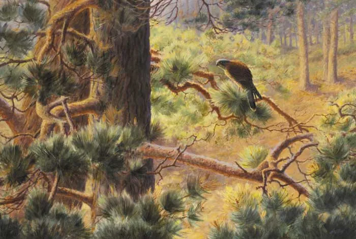 Roy Gaston, WARY WINDHOVER, 1990, oil on board